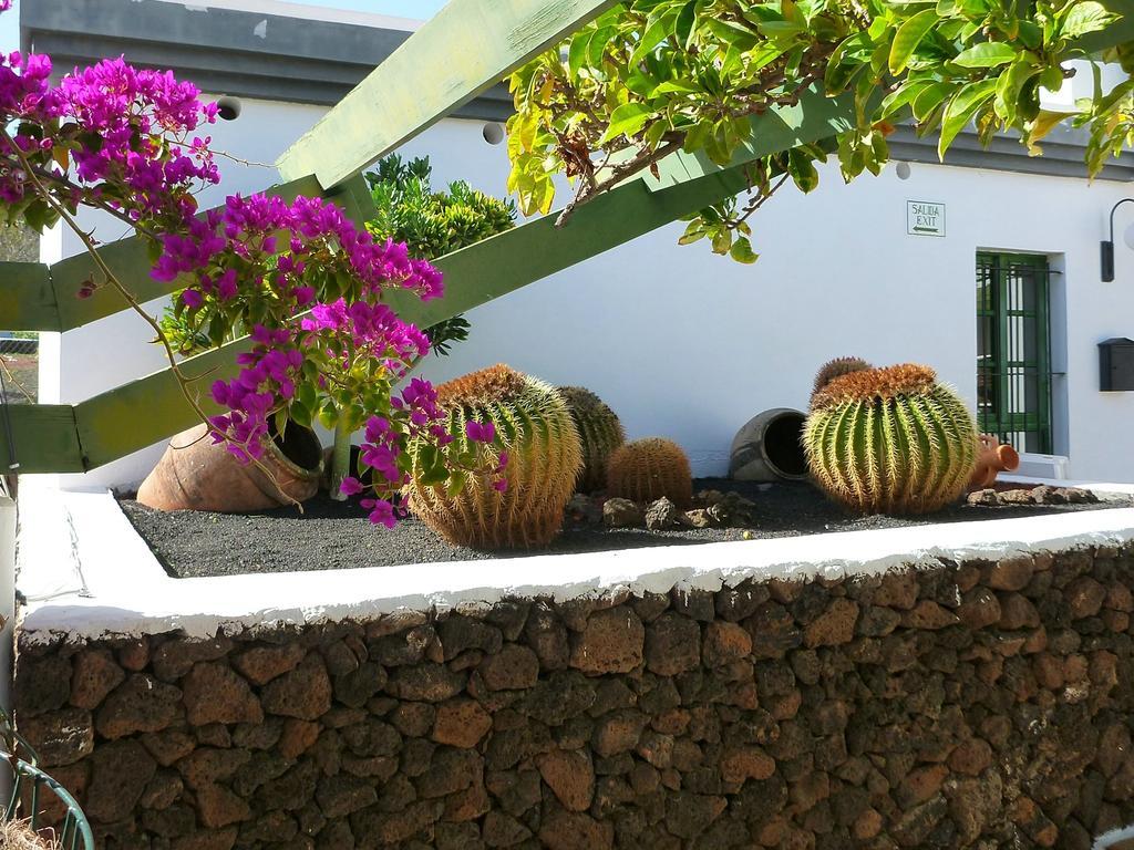 Matagorda  Apartamentos Guacimeta מראה חיצוני תמונה