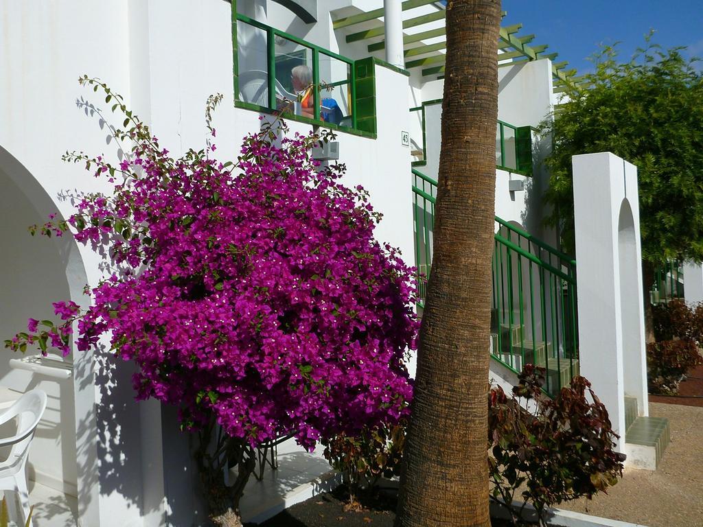 Matagorda  Apartamentos Guacimeta מראה חיצוני תמונה